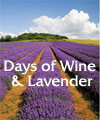 daysofwineandlavender