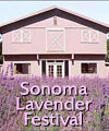 sonomalavender